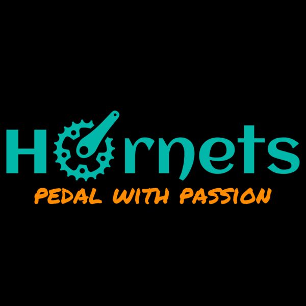 Bicycle 49 Miniatura