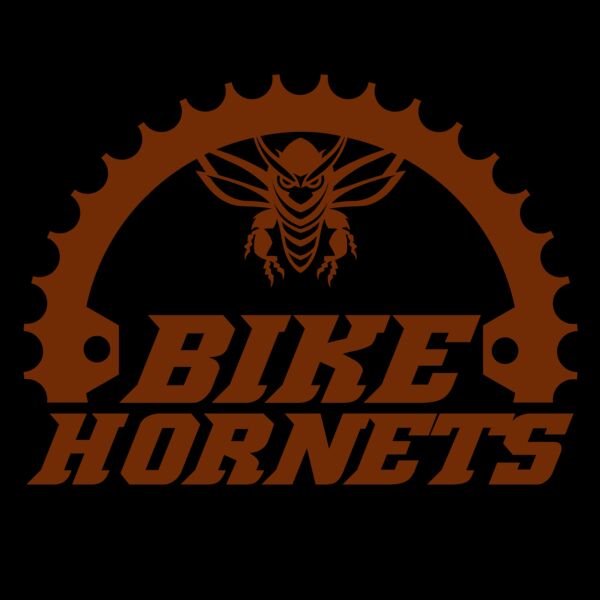 Bicycle 50 Miniatura