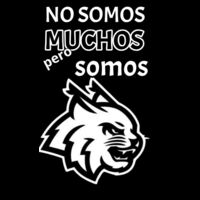 Linces-XYZ-M-019 Diseño