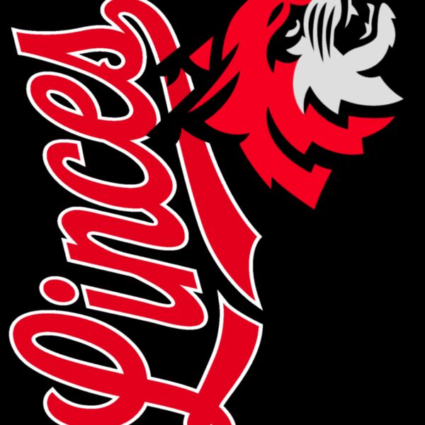 Linces Logo PP Miniatura